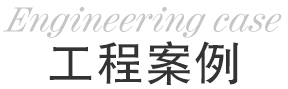 成功案例 成功案例